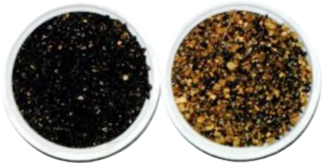 ろ過材洗浄（マンガン砂）