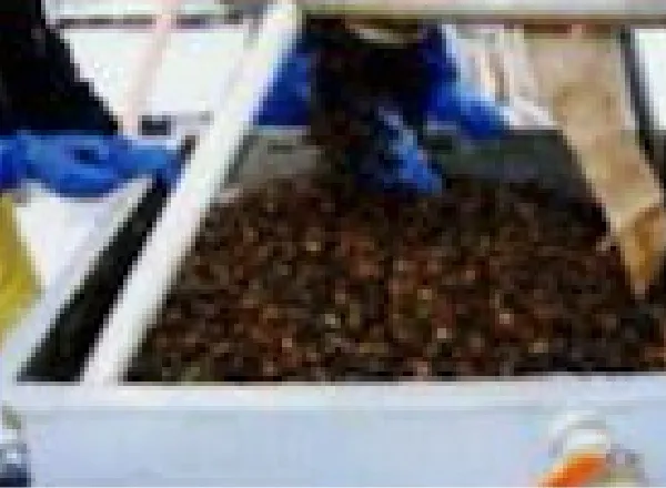 ⑧専用ホッパーにてろ材の搬入