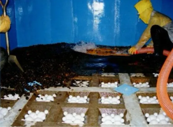 ⑨洗浄・選別されたろ材のひきならし